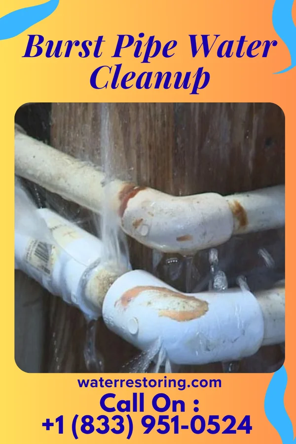 Burst Pipe Water Cleanup in Watson, MN