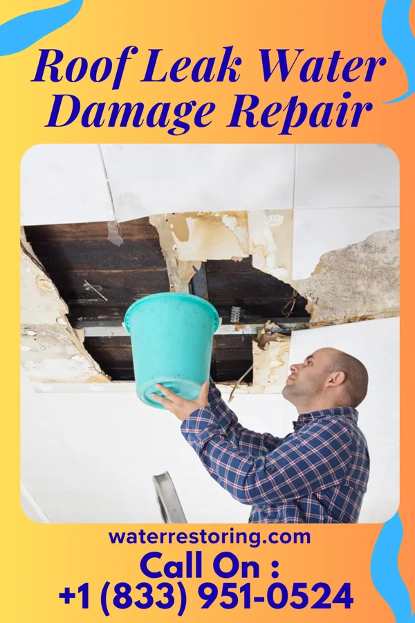 Roof Leak Water Damage Repair in Watson, MN